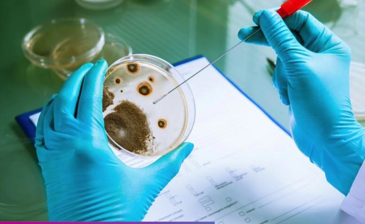  Microbiology