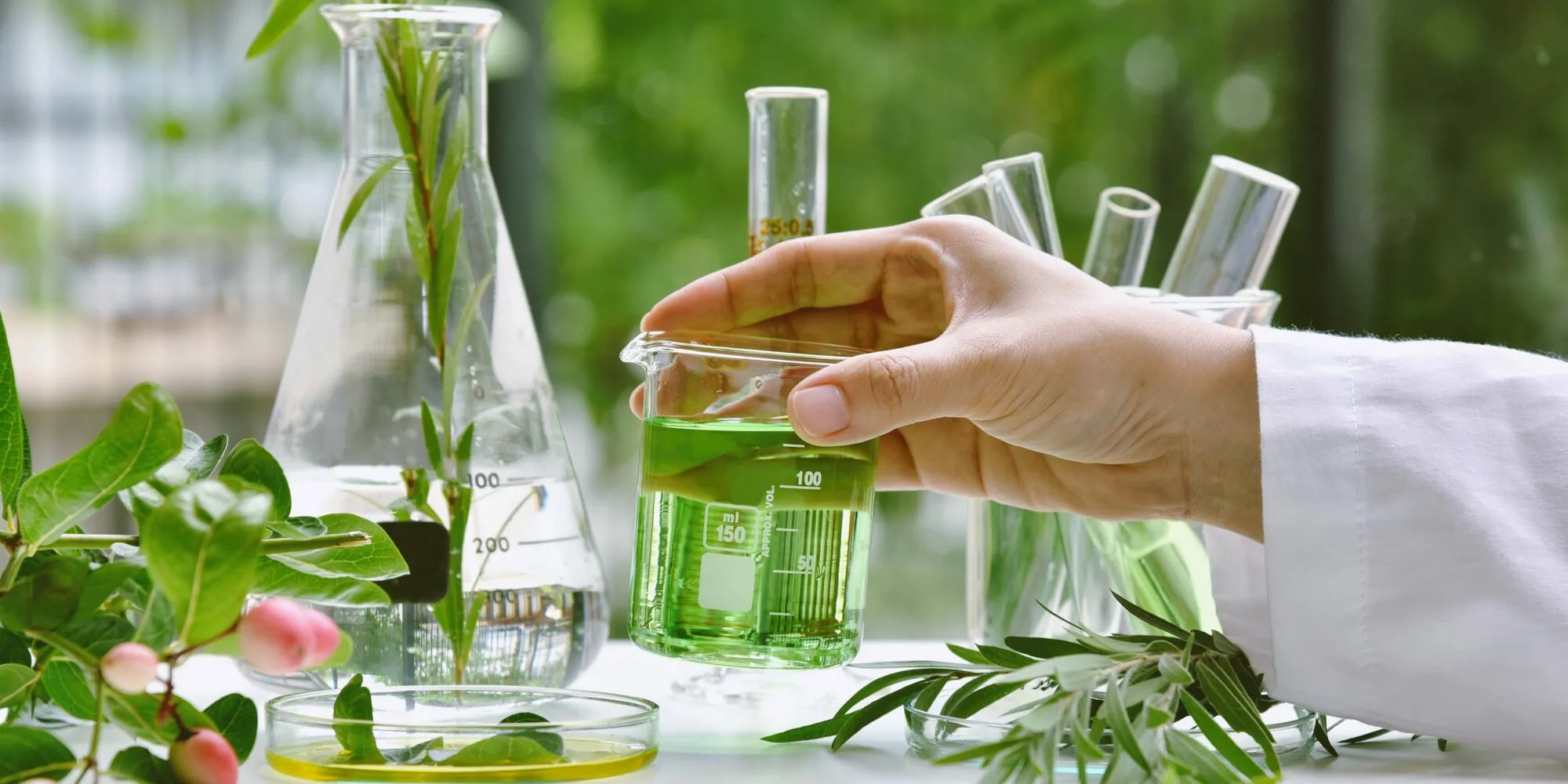 Herbal Technology