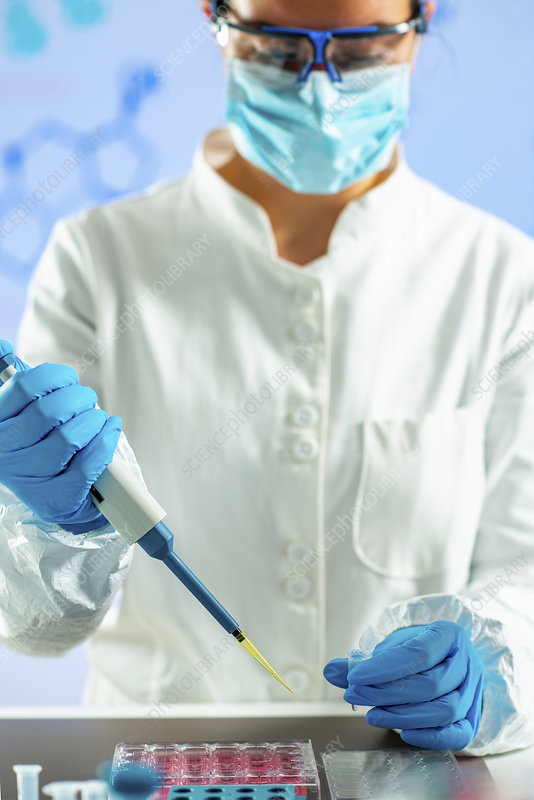 genome sequencing