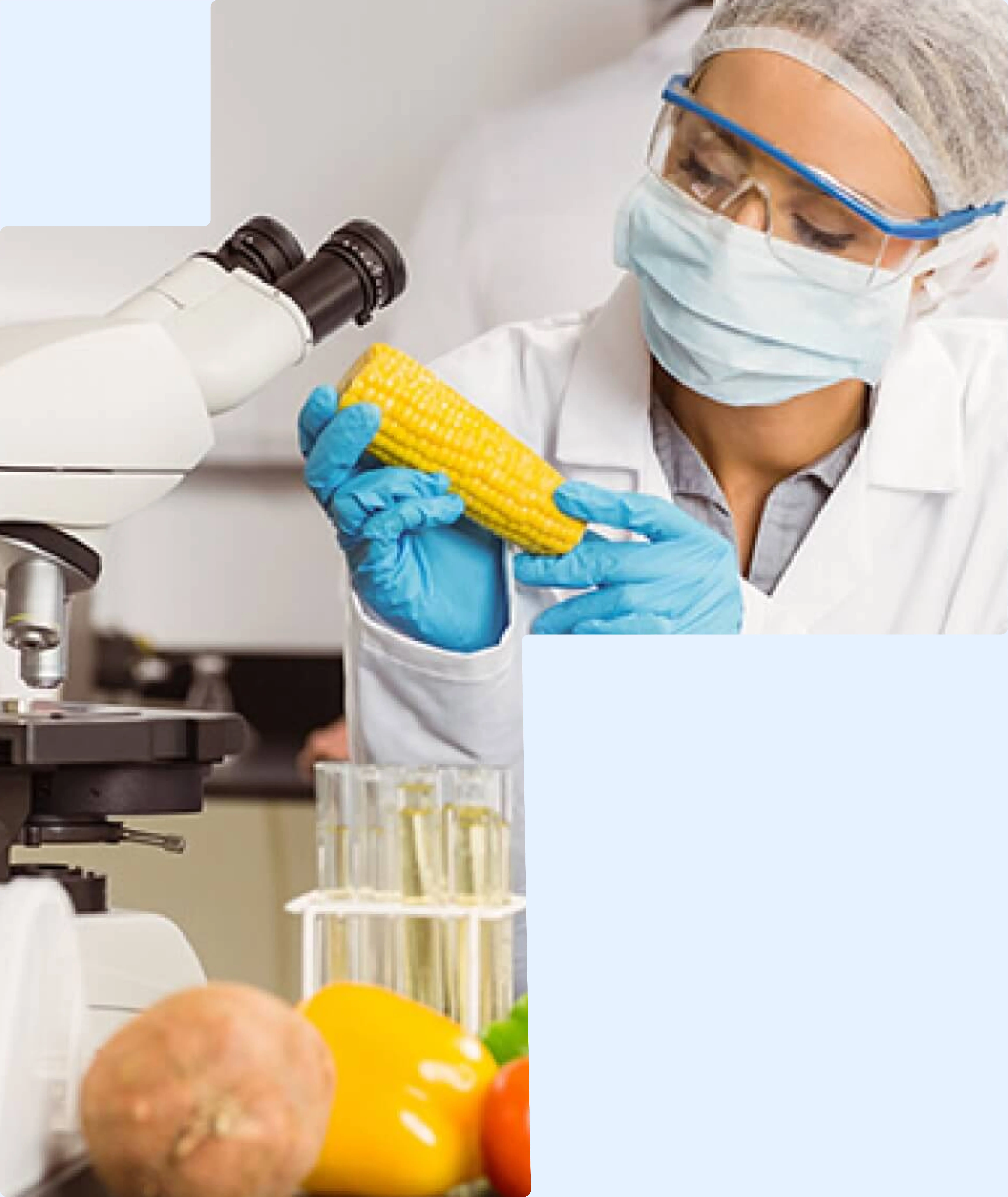 food safety training in Chennai